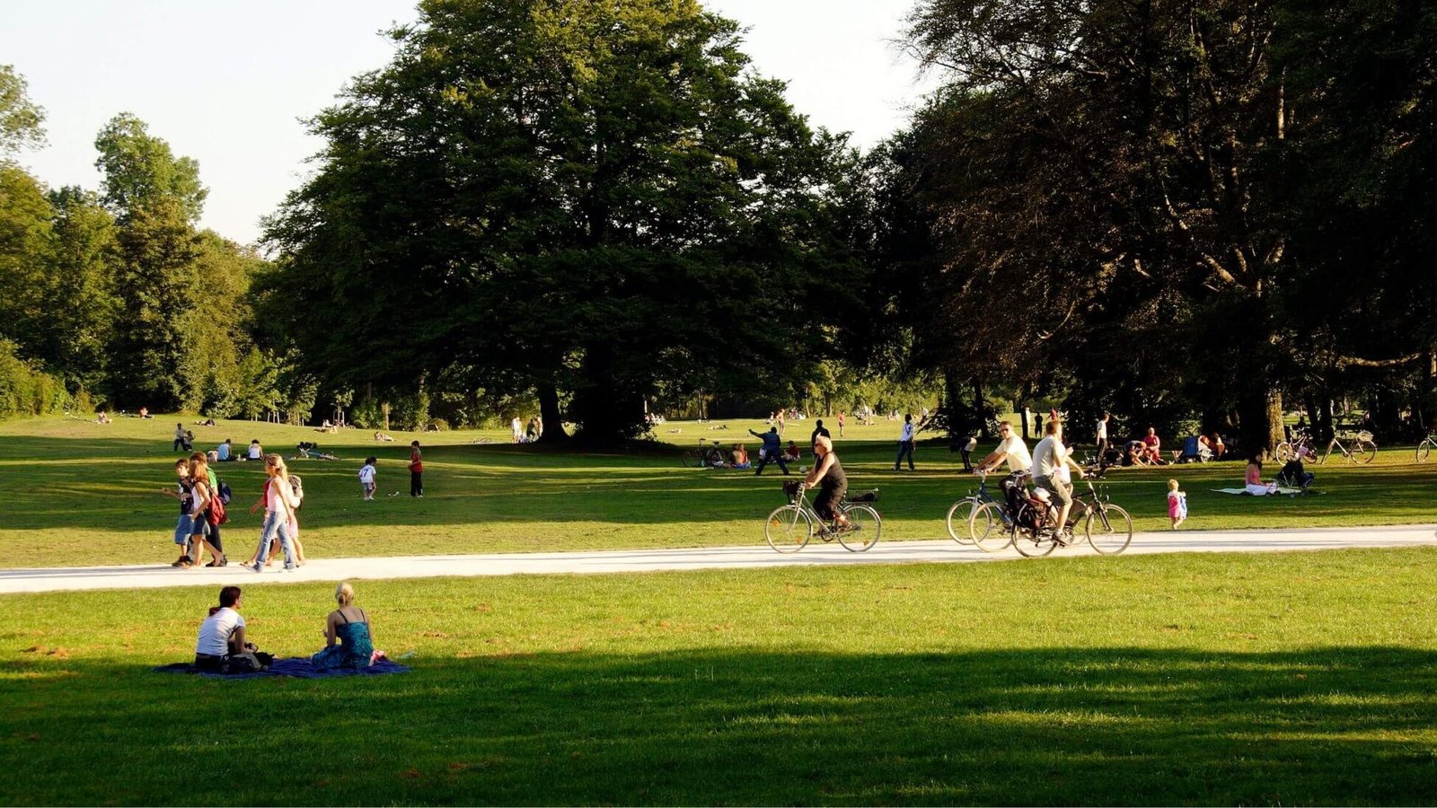 park@1.5x
